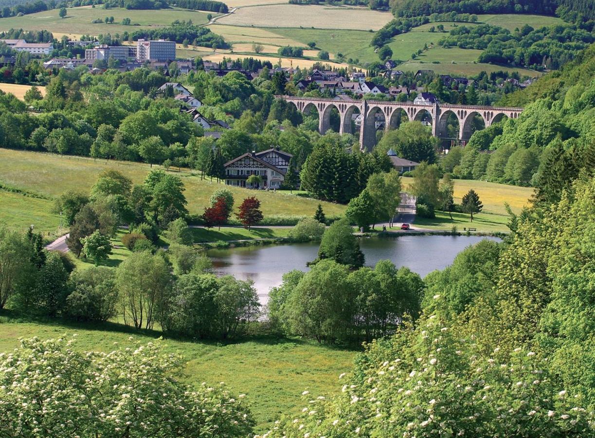 Ferienblockhaus Willingen Mit Meinecardplus ภายนอก รูปภาพ